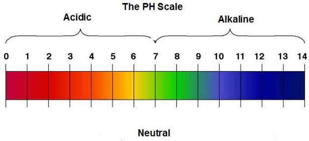 What is Alkaline Water?