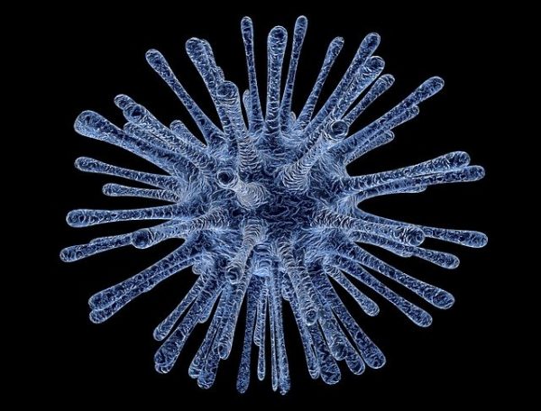 Virus survival in water - Water Research and Development